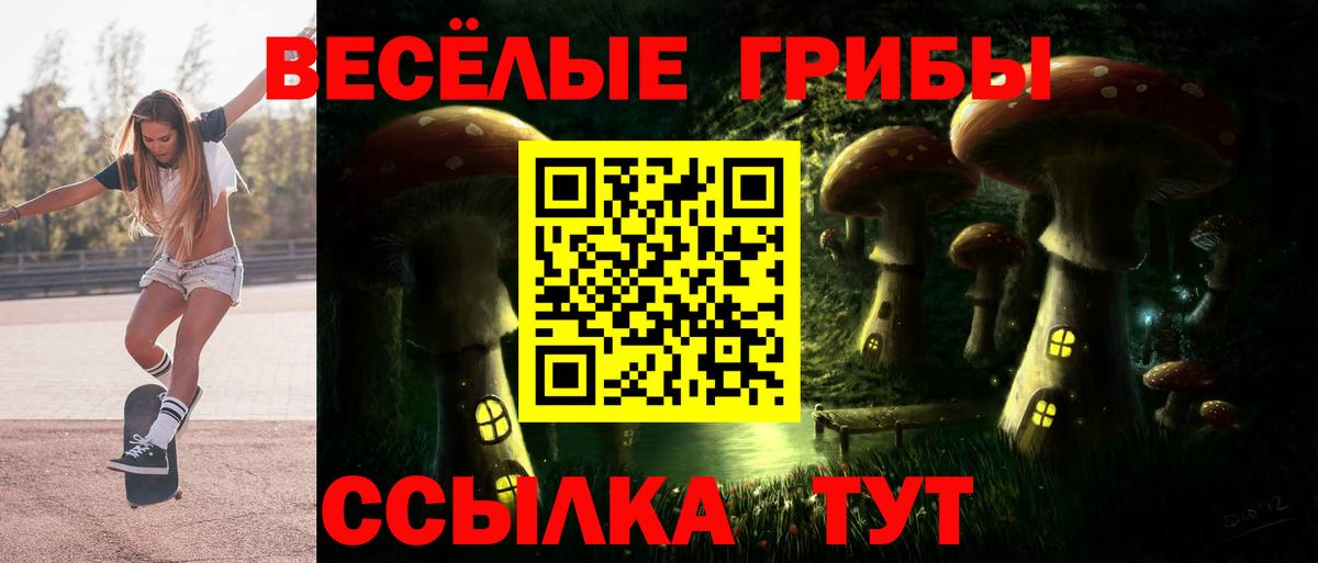 купить наркоту  Вход с VPN  Новокуйбышевск  Галлюциногенные грибы прущие грибы  Галлюциногенные грибы прущие грибы 